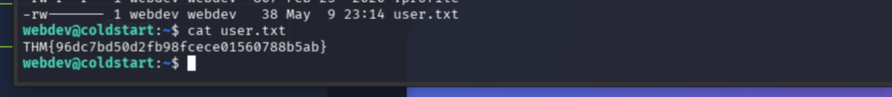 whoami, hostname, user.txt flag THM{96dc7bd50d2fb98fcece01560788b5ab}
